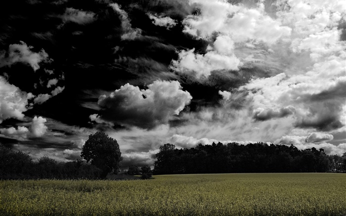 De sombres nuages, les arbres, les terres agricoles Fonds d'écran, image