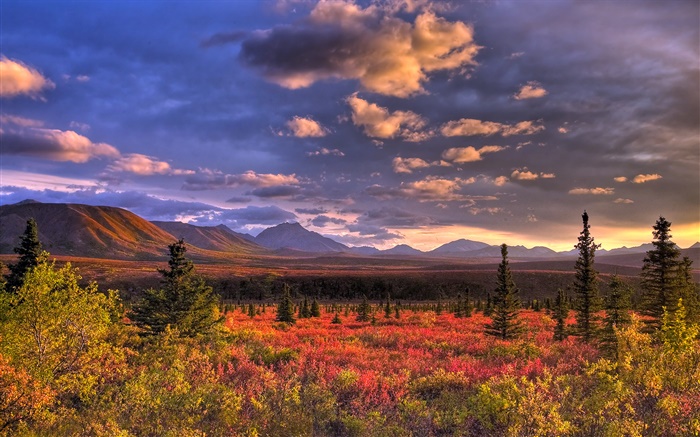 Denali National Park, Alaska, USA, nuages, crépuscule, l'herbe Fonds d'écran, image