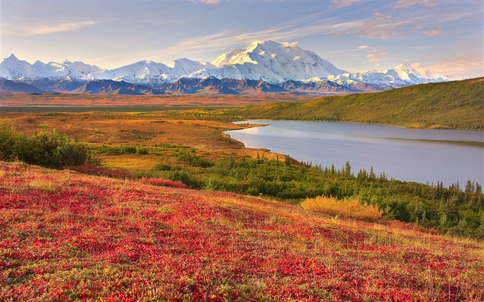 Parc national de Denali, en Alaska, Etats-Unis, de l'herbe, lac, montagnes Fonds d'écran, image