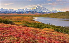 Parc national de Denali, en Alaska, Etats-Unis, de l'herbe, lac, montagnes