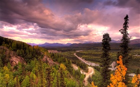 Denali National Park, Alaska, USA, route, arbres, nuages HD Fonds d'écran