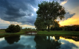 Crépuscule, arbres, de l'herbe, réflexion de l'eau, coucher de soleil HD Fonds d'écran
