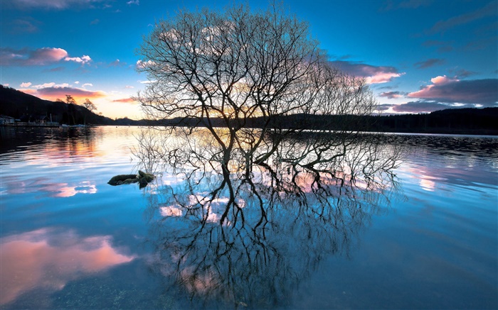 Crépuscule, arbres dans le lac, réflexion de l'eau, coucher de soleil Fonds d'écran, image