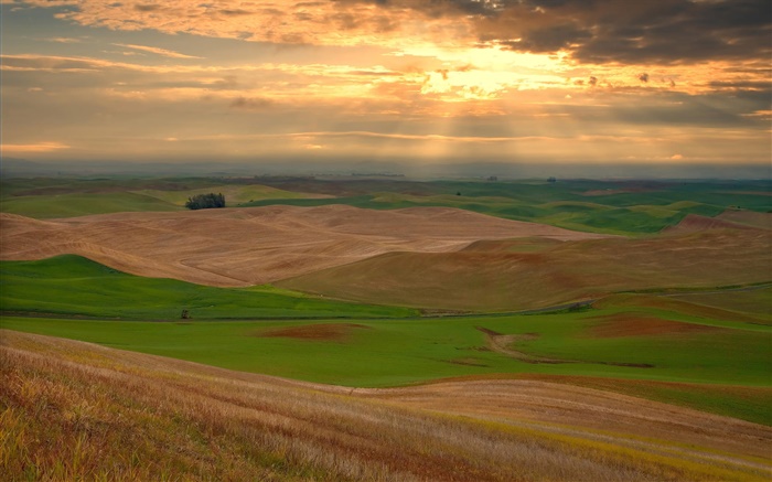 les terres agricoles, collines, nuages, coucher de soleil Fonds d'écran, image