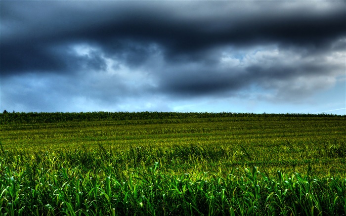 terres agricoles paysage, nuages, crépuscule Fonds d'écran, image