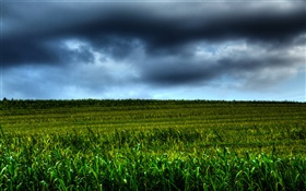 terres agricoles paysage, nuages, crépuscule