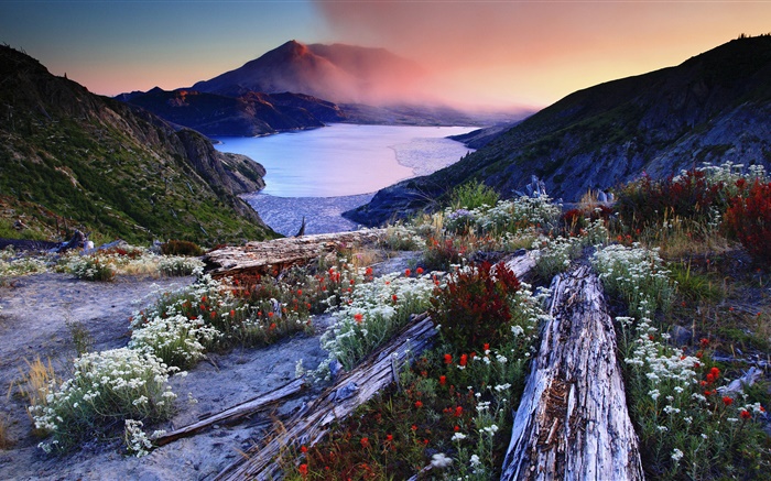 Fleurs, la pente, lac volcanique, arbres, montagnes, Aube, Brouillard Fonds d'écran, image