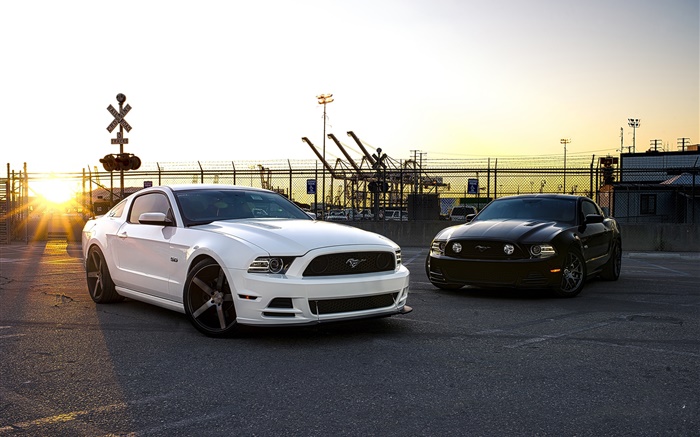 Ford Mustang voitures blanches et noires Fonds d'écran, image
