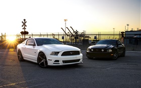 Ford Mustang voitures blanches et noires