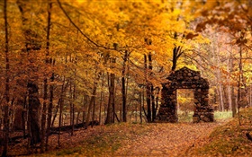 Forêt, les arbres, l'automne, le style rouge, porte de pierre HD Fonds d'écran