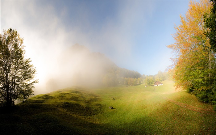 Herbe, brouillard, matin, maison, Glaris, Suisse Fonds d'écran, image