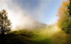 Herbe, brouillard, matin, maison, Glaris, Suisse HD Fonds d'écran
