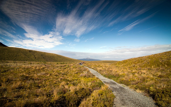 Route de gravier, herbe, péninsule de Coromandel, Nouvelle-Zélande Fonds d'écran, image