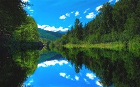 Lac, forêt, arbres, ciel bleu, réflexion de l'eau
