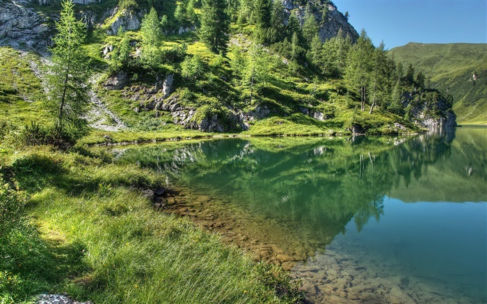 Lac, montagne, des arbres, de l'herbe, réflexion de l'eau Fonds d'écran, image