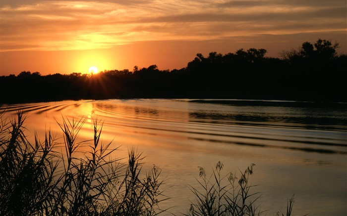 Lac, coucher de soleil, de l'herbe, au crépuscule Fonds d'écran, image