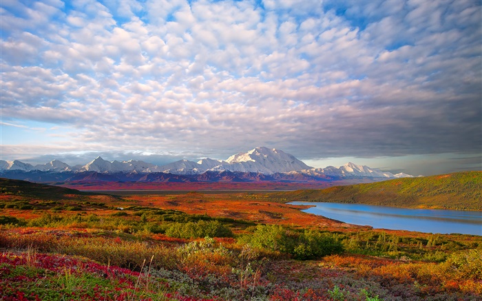 Lac, arbres, nuages, crépuscule, parc national de Denali, Alaska, USA Fonds d'écran, image