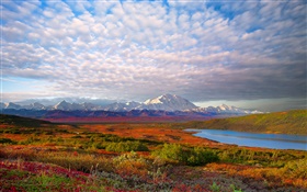 Lac, arbres, nuages, crépuscule, parc national de Denali, Alaska, USA