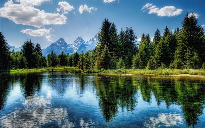 Lac, les arbres, les montagnes, les nuages, réflexion de l'eau Fonds d'écran, image