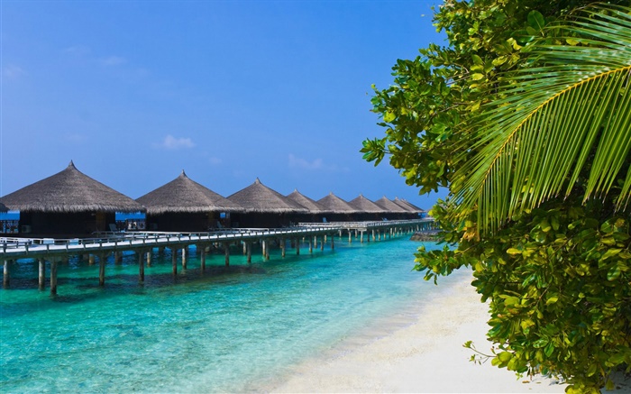 Leisure Resort, huttes, côte tropicale Fonds d'écran, image