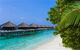 Leisure Resort, huttes, côte tropicale HD Fonds d'écran