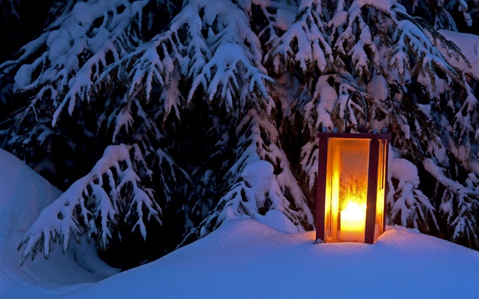 Lanterne allumée, arbre enneigé, l'hiver Fonds d'écran, image