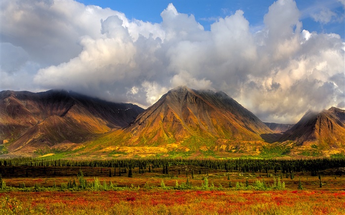 Montagnes, arbres, nuages, Denali National Park, Alaska, USA Fonds d'écran, image