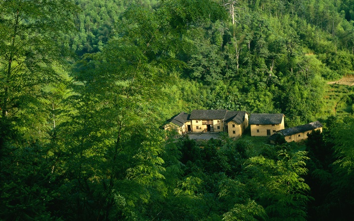 Montagnes, arbres, vert, vieille maison, paysage chinois Fonds d'écran, image