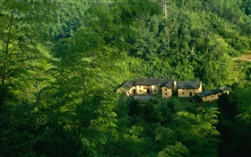 Montagnes, arbres, vert, vieille maison, paysage chinois HD Fonds d'écran