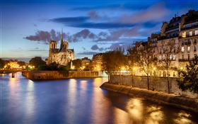 Notre-Dame, la France, la rivière, les arbres, la maison, la nuit, les lumières HD Fonds d'écran