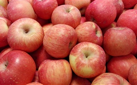 Riches en éléments nutritifs des fruits, des pommes rouges