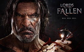 Jeu PC, Lords of the Fallen