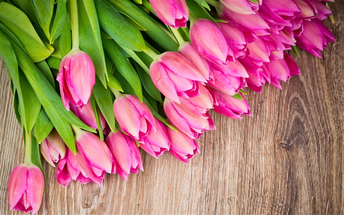 Des tulipes roses, planche de bois Fonds d'écran, image