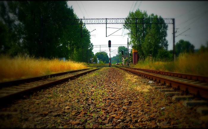 chemin de fer, des arbres, des lignes électriques, la lumière rouge Fonds d'écran, image