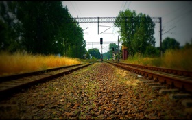 chemin de fer, des arbres, des lignes électriques, la lumière rouge