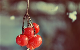 Fruits rouges, bokeh