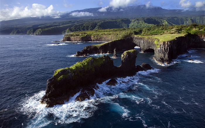 Côte rocheuse, Océan Pacifique, Maui, Hawaii Fonds d'écran, image