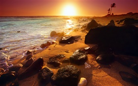 Rivage rocheux, coucher de soleil, Hawaii, USA