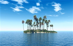 Petite île, palmiers, mer