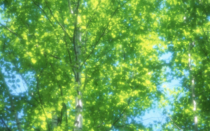 Forêt de bouleaux d'été, le soleil, floue Fonds d'écran, image