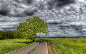 D'épais nuages, les arbres, l'herbe, route, maison HD Fonds d'écran