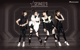 2NE1, les filles de la musique coréenne 07 HD Fonds d'écran