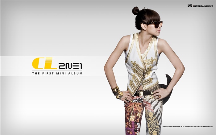 2NE1, les filles de la musique coréenne 09 Fonds d'écran, image