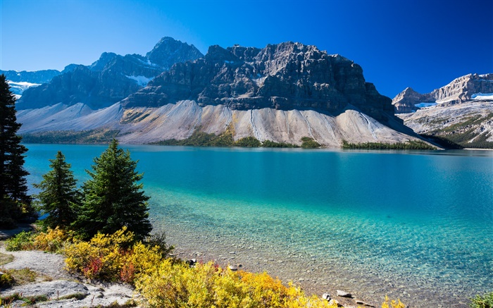 Bow Lake, en Alberta, au Canada, les montagnes, les arbres, le ciel bleu Fonds d'écran, image