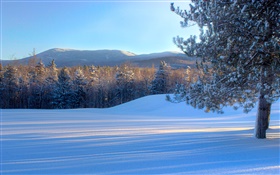 Bread Loaf Mountain, neige, arbres, hiver, Vermont, USA