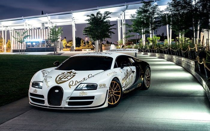 Bugatti Veyron supercar Blanc, New York, les arbres, la nuit, les lumières Fonds d'écran, image