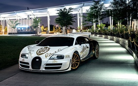 Bugatti Veyron supercar Blanc, New York, les arbres, la nuit, les lumières HD Fonds d'écran