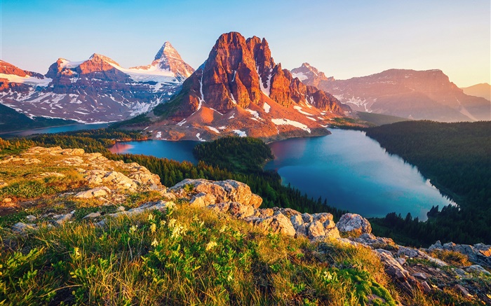 Canada, Colombie-Britannique, lac, montagne, forêt, arbres Fonds d'écran, image