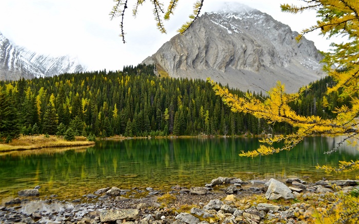 Chester Lake, Rocheuses canadiennes, Alberta, Canada, lac, montagnes, forêt Fonds d'écran, image