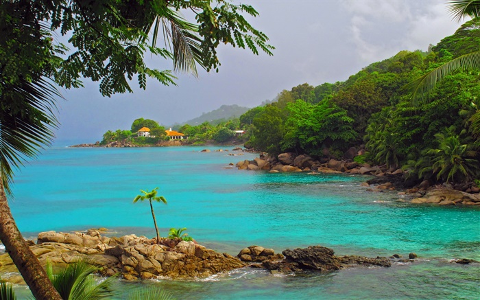 Côte, mer, arbres, maisons, des Iles Seychelles Fonds d'écran, image